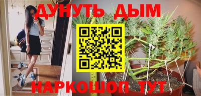 шишки Волгодонск